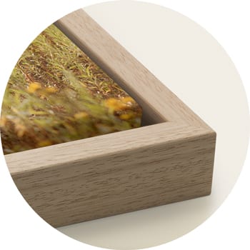 Wooden floating frame