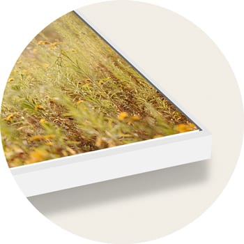 White floating frame